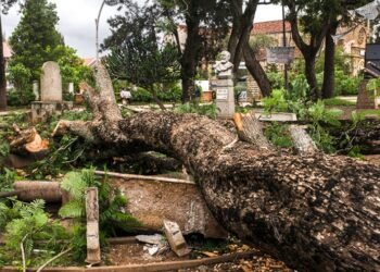 El ciclón Batsirai dejó Madagascar con al menos 20 muertos y 55.000 evacuados