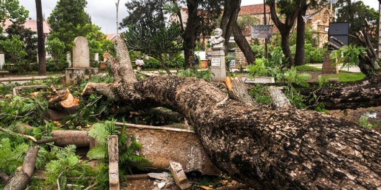 El ciclón Batsirai dejó Madagascar con al menos 20 muertos y 55.000 evacuados