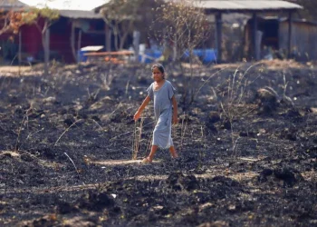 Incendios en Corrientes: ya son casi 1.000.000 las hectáreas afectadas, un 11% de la superficie total de la provincia