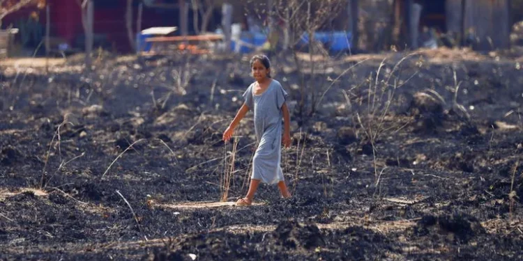 Incendios en Corrientes: ya son casi 1.000.000 las hectáreas afectadas, un 11% de la superficie total de la provincia