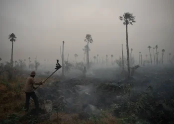 El llamado de Carrió a Cabandié por el devastador avance del fuego en Corrientes