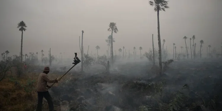 El llamado de Carrió a Cabandié por el devastador avance del fuego en Corrientes