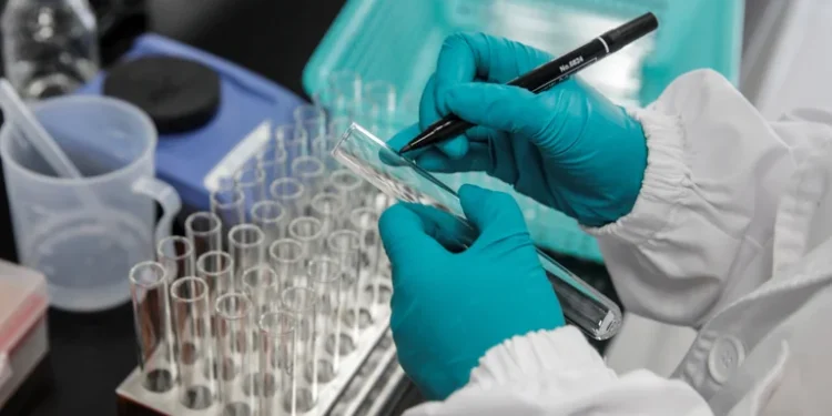 La subvariante BA.2 de Ómicron es más contagiosa y estudian si podría ser más letal