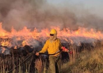 Juan Cabandié responsabilizó a algunos productores por los incendios en Corrientes y un funcionario de Agricultura lo cuestionó