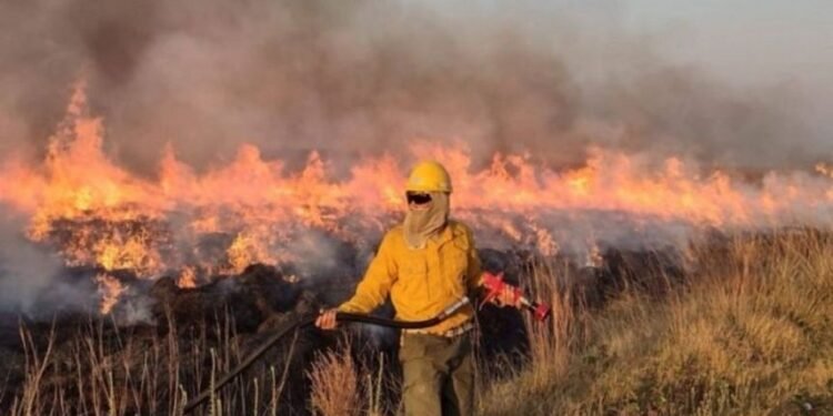 Juan Cabandié responsabilizó a algunos productores por los incendios en Corrientes y un funcionario de Agricultura lo cuestionó