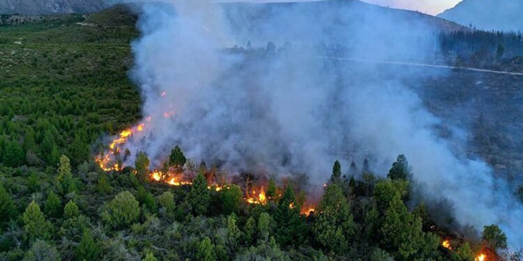 Permanece activo el foco de incendio forestal en Bariloche