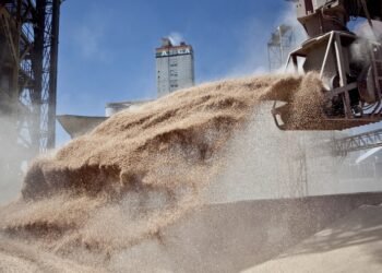 Cafiero pidió que “Estado y no los mercados” decida el acceso mundial a los alimentos