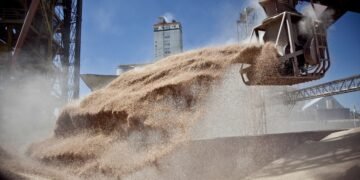 Cafiero pidió que “Estado y no los mercados” decida el acceso mundial a los alimentos