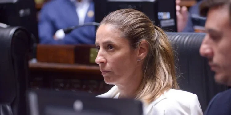 Proponen que los no residentes paguen por la salud y la educación pública en CABA