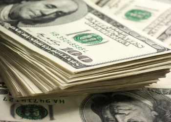 Gabriela Cerruti: “No hay ningún tipo de cepo o de restricción que esté pensando el Gobierno”