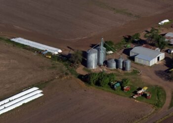 Los productores deberán informar dos veces al año su stock de granos