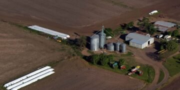 Los productores deberán informar dos veces al año su stock de granos