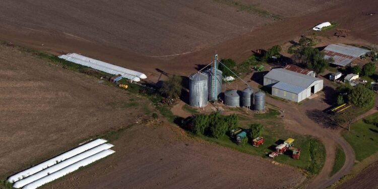 Los productores deberán informar dos veces al año su stock de granos