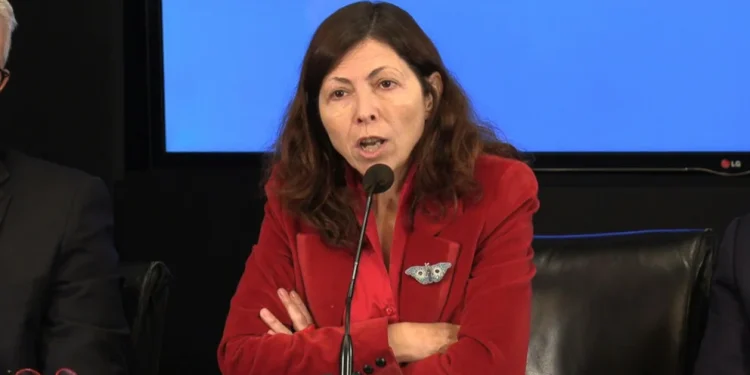 ¿Efecto Batakis?: los inversores comienzan a apostar en pesos tras el pico del dólar del último mes