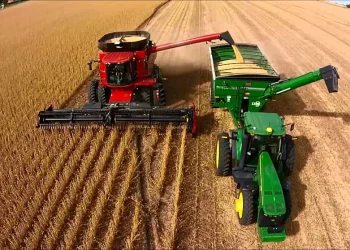 En los anuncios de hoy se esperan incentivos para aumentar las exportaciones y fortalecer las reservas del Banco Central