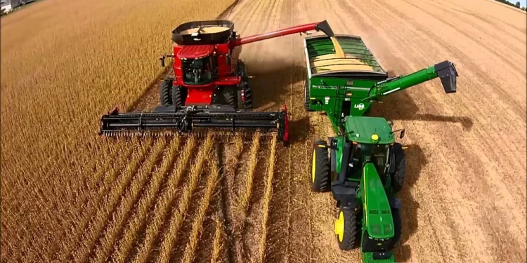 En los anuncios de hoy se esperan incentivos para aumentar las exportaciones y fortalecer las reservas del Banco Central