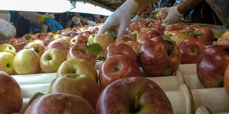 Medidas fiscales y crediticias para que las economías cordilleranas puedan afrontar las heladas