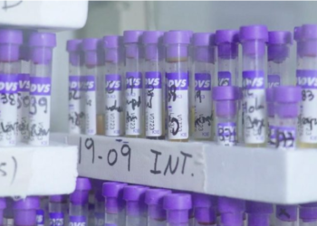 Estudian respuestas de anti-cuerpos de las vacunas contra en covid en 3 continentes