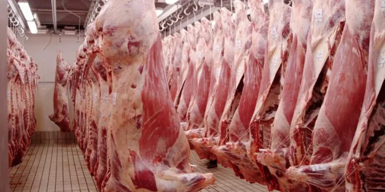 Carne, nuevo frente inflacionario: las medidas de Economía y expectativas sobre la evolución de los precios