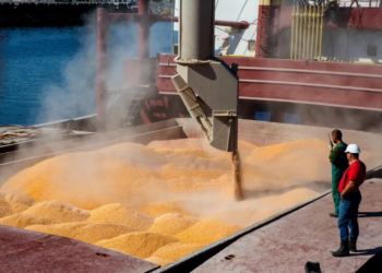 Por la sequía, el ingreso de divisas del primer trimestre podría derrumbarse al menor nivel en 16 años