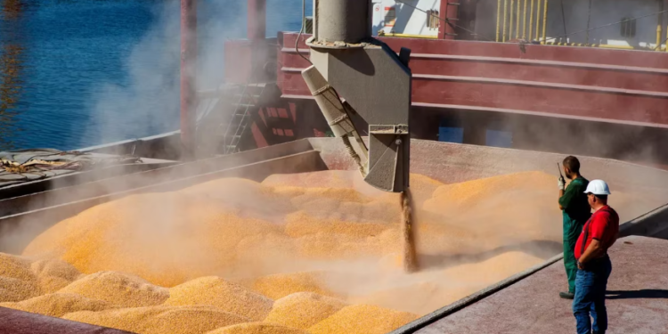 Por la sequía, el ingreso de divisas del primer trimestre podría derrumbarse al menor nivel en 16 años