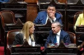 Una jugada de Martín Menem enojó a Miguel Pichetto y puso en crisis el apoyo de diputados dialoguistas al gobierno en el Congreso
