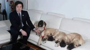 Con la aprobación de Javier Milei, la Cámara de Diputados inició la discusión de la “Ley Conan”
