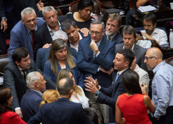 Diputados: la UCR pedirá sesionar el 9 para rechazar el veto de Milei al financiamiento de las universidades
