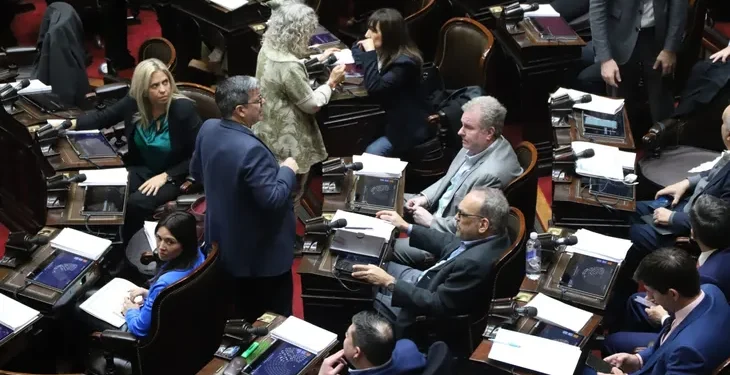 Tensión en el Congreso: Una vez más, el bloque radical quedó en el ojo de la tormenta