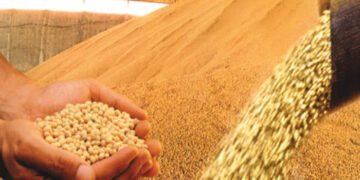 Alerta en el mercado de granos: la falta de lluvia pone en peligro resultados récord