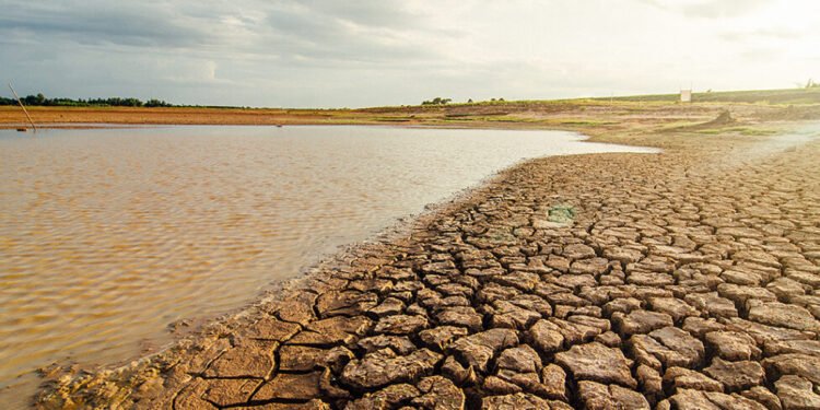 Advierten que las lluvias no aliviaron la sequía que atraviesa el campo