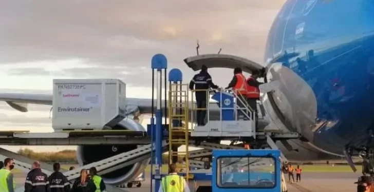 Aeroparque: Intercargo sancionó a dos empleados.