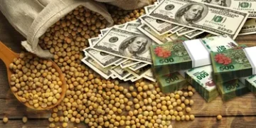 Tras liquidaciones fuertes: incertidumbre en agro.
