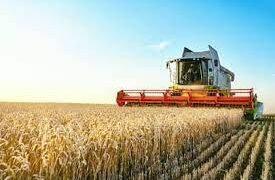 Exportación de granos: U$S 7 mil millones y fin de quita.