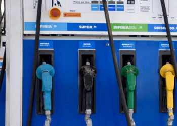 Sector bioenergético: alerta por pérdidas en biocombustibles.