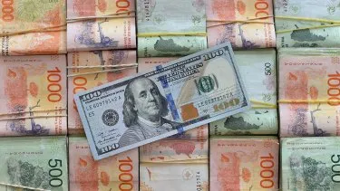 Base monetaria: la peor caída en un año y medio.