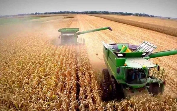 Incentivo al campo: Bajan retenciones a granos.