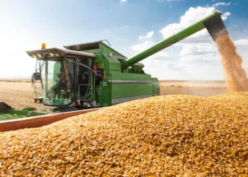 Gobierno y retenciones: confirmación de la baja.