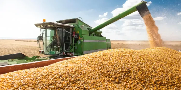 Gobierno y retenciones: confirmación de la baja.