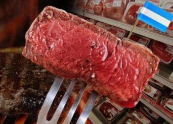 Rumbo a EE.UU.: Productores se inscriben para exportar carne.