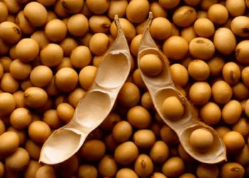 Retenciones: La advertencia clave sobre el Presupuesto 2026