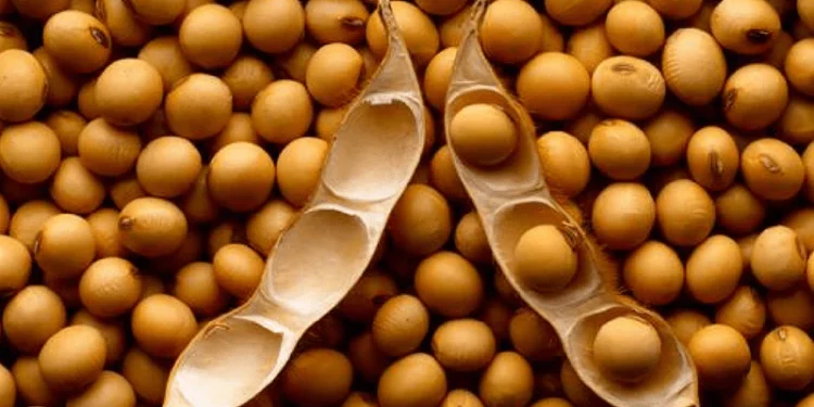 Retenciones: La advertencia clave sobre el Presupuesto 2026