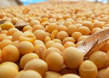 Récord importador: Se sostiene con granos y combustibles.