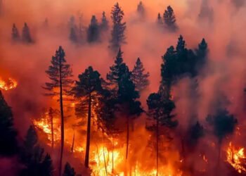 Patagonia: Urge la Ley de Emergencia Ígnea en el Congreso.