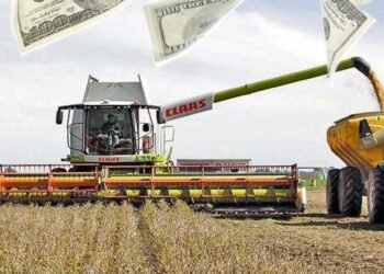 El agro impulsó un 82% la liquidación de divisas.