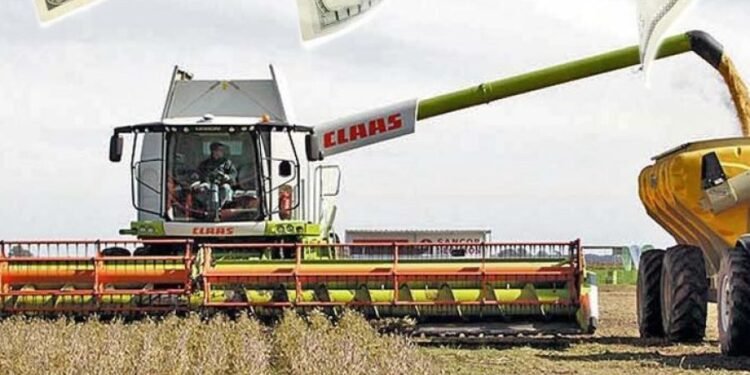 El agro impulsó un 82% la liquidación de divisas.