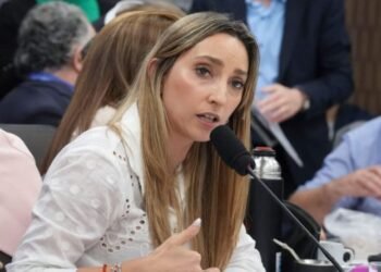 La diputada Julia Strada critica a Menem y a los hermanos Neuss por el tema de subsidios