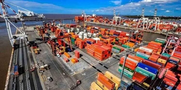 Las exportaciones argentinas a Brasil crecieron en mayo