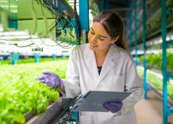 Marina Lambertini: la ingeniera agrónoma que transforma la producción hortícola