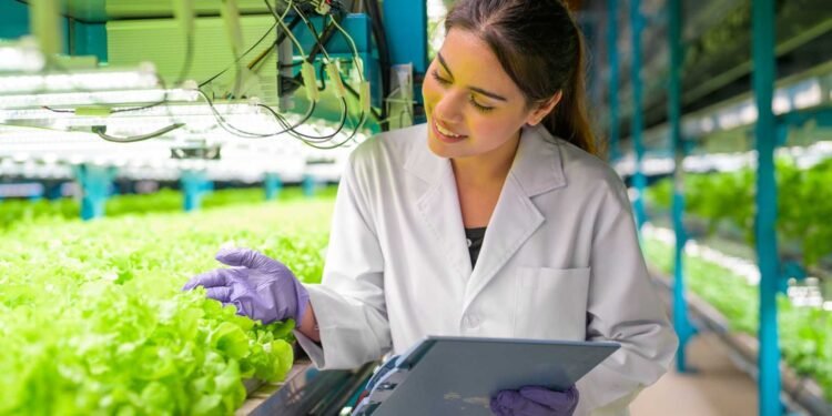 Marina Lambertini: la ingeniera agrónoma que transforma la producción hortícola